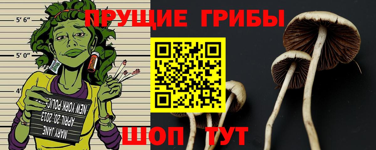 Галлюциногенные грибы MAGIC MUSHROOMS Новошахтинск