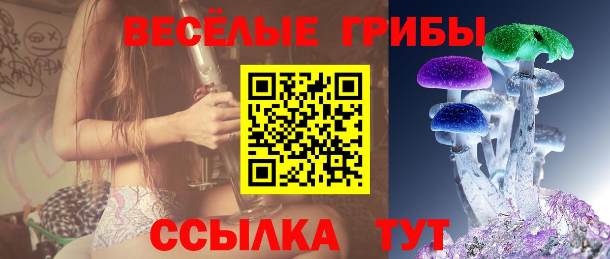 закладки  Вход с VPN  Новошахтинск  Псилоцибиновые грибы ЛСД 
